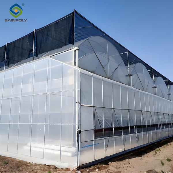 Heat Resisting Morden Multi Span Greenhouse For Commercial Agriculture