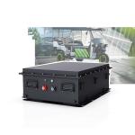 36v 100ah 200ah Lithium Lifepo4 48v Golf Cart Batteries 3000s Cycle