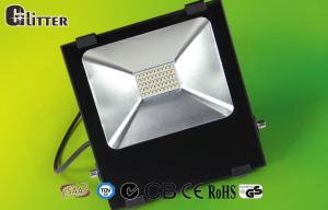 Quality 80 Watt IP66 outdoor Led Light flood For Billboard EMC3030 chip Isolated driver wholesale