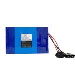Deep Cycle LFP Lithium Lifepo4 Batteries For Electric Bicycles