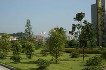 chongqing dima industry co.,ltd
