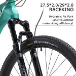 DECK5.0 SAVA Carbon Fiber Mountain Bike MTB Shockproof Frame