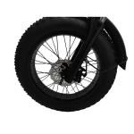 1460*320*840mm REMOVABLE BATTERY Hot E-Bike Fat Tire Mountain Bike Electric