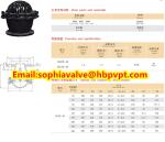 seat EPDM PN10/PN16 flanged foot valve