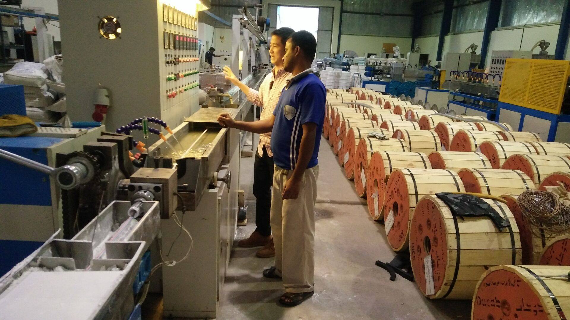 Power Cable and Wire Extrusion Extruder Machine for Cable Making