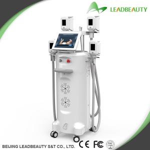 Quality Cryolipolysis body shaping device with 12 inch LCD screen wholesale