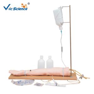 Quality Injectable Training Arm Model Medical Training Manikins Science Nursing Model wholesale
