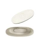 Degradable Rotary Cut Deodorant Sugarcane Pulp Box Wet Pressing