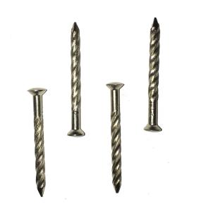Quality Stainless steel oval twist nail / Oval head nail / Stainless steel nail wholesale
