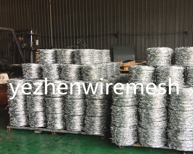 Hot Dipped Galvanizedbarbed wire/cheap barbed wire price per roll/barbed wire roll price fence Razor Barbed Wire