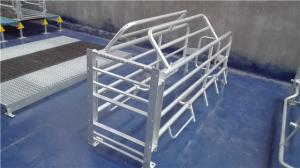 Quality used pig farrowing stall pig crate farming equipment in india wholesale