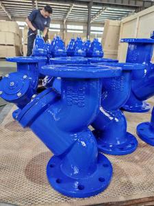Quality Flanged Cast Iron Y Strainer Valve For Water Steam Oil - SS304/SS316 Screen -20C-120C Temperature Rating wholesale