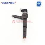 Diesel Common Rail Fuel Injector 0 445 110 519 for Mercedes Benz 4000700187