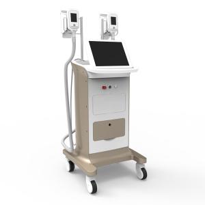 Quality 2 large size handles/quick and amazing results / High Quality Cryolipolysis Equipment wholesale