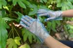 Hygienic Anti Allergic Disposable TPE Gloves For Household Cleaning
