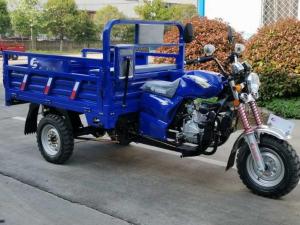 Quality 800W 3 Wheel Cargo Motorcycle wholesale