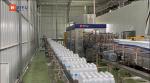 48000BPH Purified Mineral Bottle Water Packaging Machine PET plastic