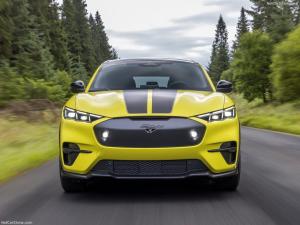 Quality Unique Rally Suspension, Family Car Out Racing Feeling At Ford Mustang Mach-E Rally (2024) 480Horsepower wholesale