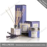 Decorative Frosted Glass Reed Diffuser Gift Set Home Fragrance Gift Set With
