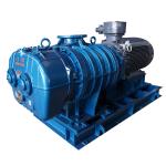 High Efficiency Roots Blower Vacuum Pump For Continuous Duty Operation