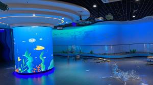 Quality Indoor Shopping Mall LED Screen Waterproof Exhibition Curved Video Wall wholesale