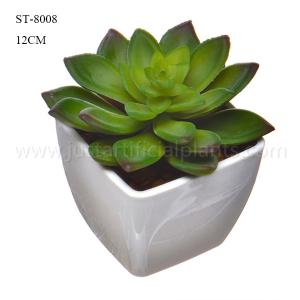 Quality Realistic Imitation Faux Succulent Flower Green Decorative Plant In Plastic Pot wholesale