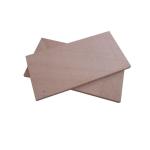 Eucalyptus FSC 1220*2440mm Bintangor Plywood For Furniture