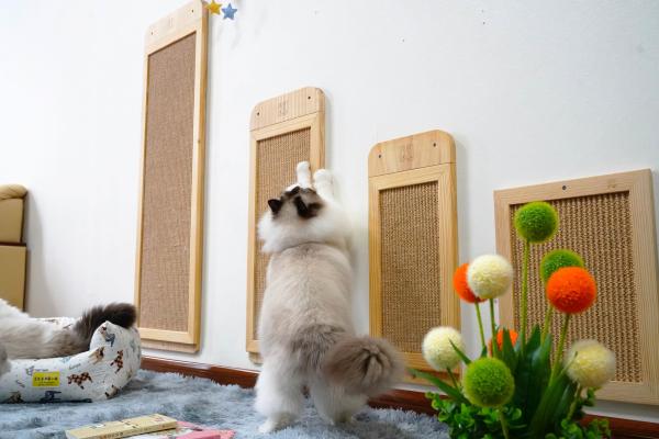 Durable Sisal Wall Mounted Cat Scratcher Post Place Floor 40*30cm 30*76cm 40