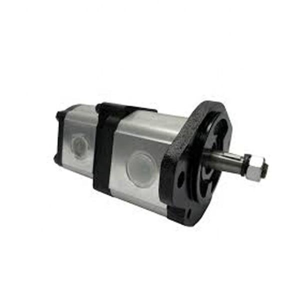 3595383M91 Hydraulic Pump Massey Ferguson Tractors Parts Agricultural Machinery