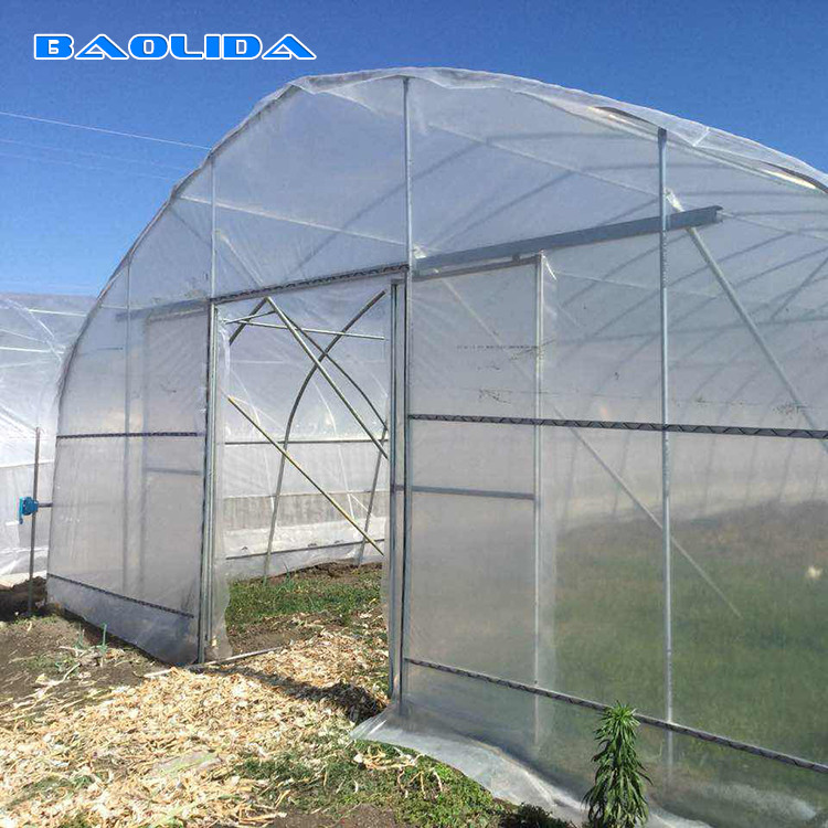 8m 9m Width Single Span Vertical Tunnel Plastic Greenhouse For Plants Growing