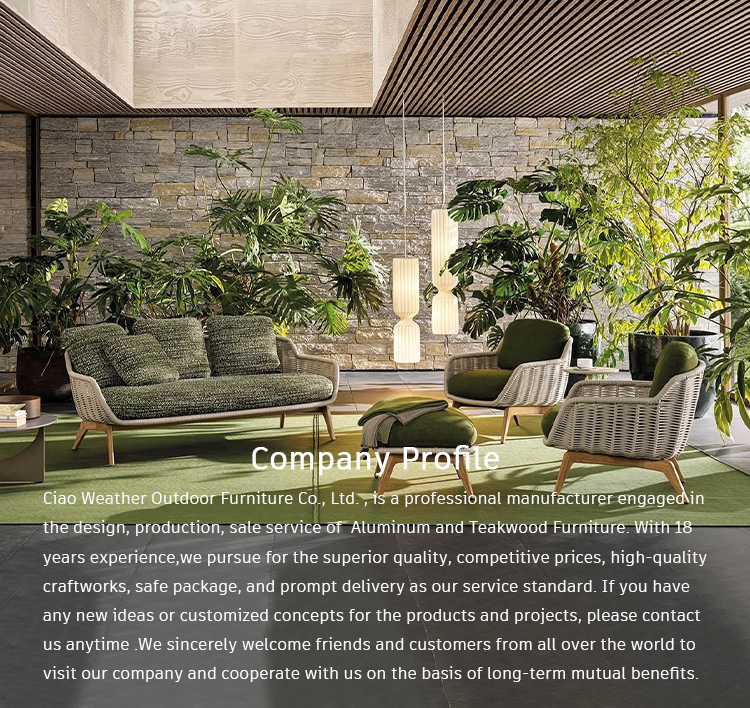 Modern Outdoor Furniture Luxury Lounge Sofa Woven Rope Furniture With Cushion For Outdoor And Comfort