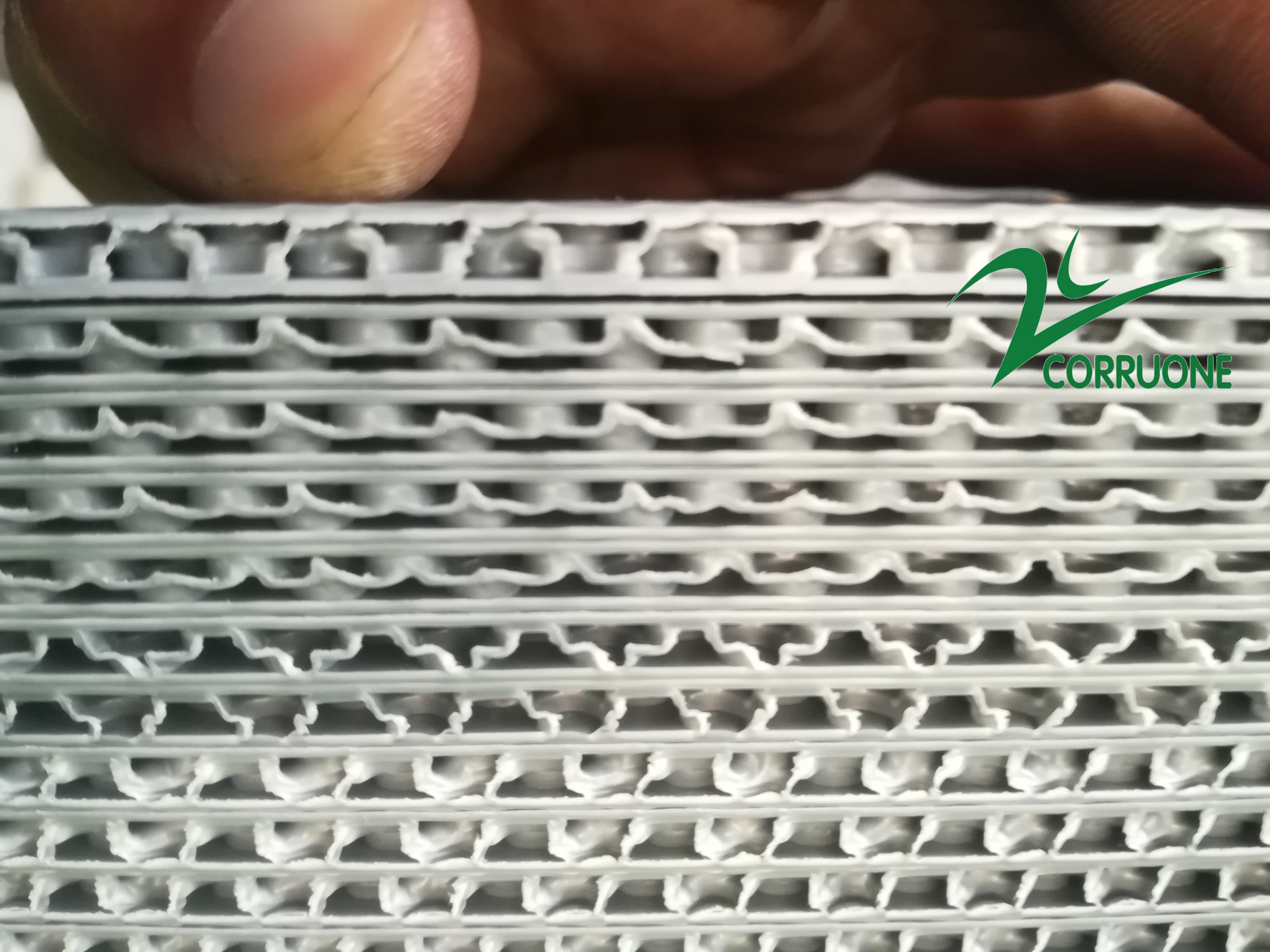 Green Polypropylene Correx Board Con Pearl PP Honeycomb Board