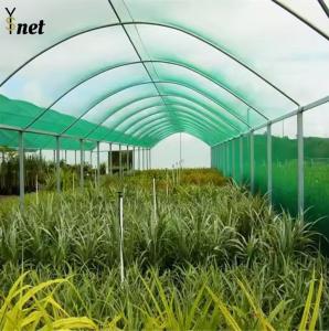 Quality PE Sun Shade Net Anti Hail Agricultural Shade Netting Waterproof wholesale