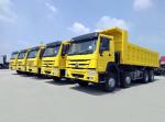 Sinotruk HOWO 6X4 8X4 10 12 Wheel Transport Tipping Dumper Tipper Cargo Dump