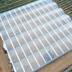 Galvanized Steel Frame Greenhouse multi span greenhouse Film Covering Space