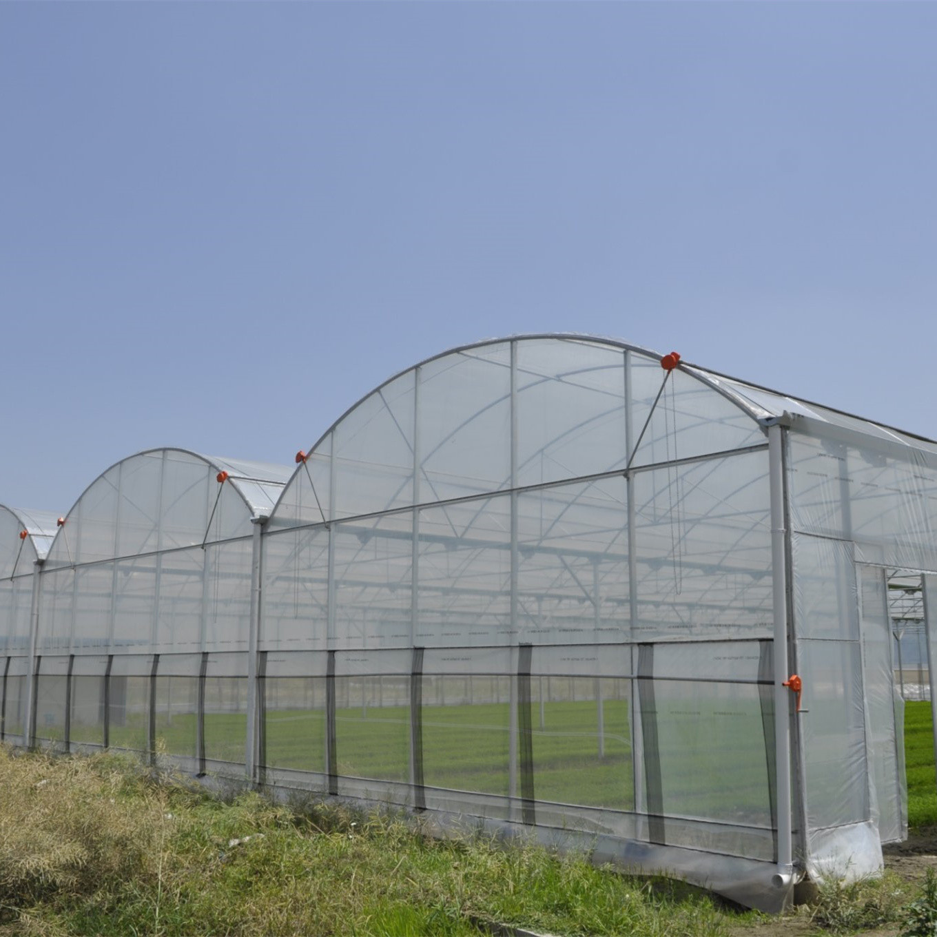 plastic film Hobby Structure Multispan Tunnel Plastic Greenhouse