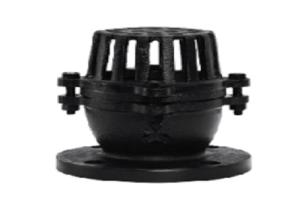 Quality Rustproof Cast Iron Foot Valve , Anti Oxidation 10K Foot Valve Flange Type wholesale