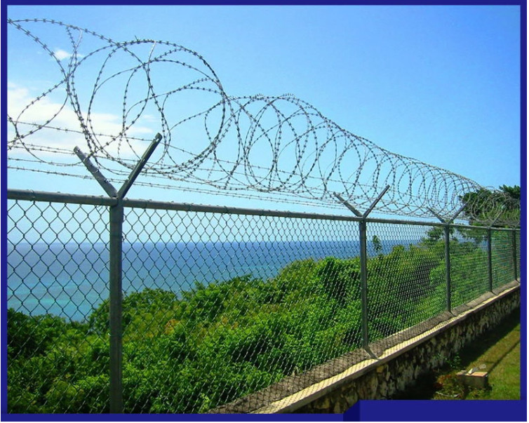 Stainless Steel Hot Dipped Galvanized Concertina Razor Blade Barbed Wire Mesh Fence