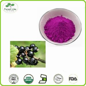 Quality Provides Natural Fruit Extract Black Currant Powder wholesale