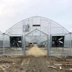 Quality Multi-span Plastic UV Resistant Film Tunnel Agricultural Blueberry Greenhouse wholesale