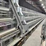 Automatic Poultry Farming Equipment Battery Cage For Laying Hens Battery Cage