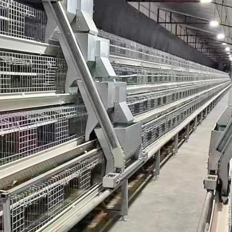 Automatic Poultry Farming Equipment Battery Cage For Laying Hens Battery Cage