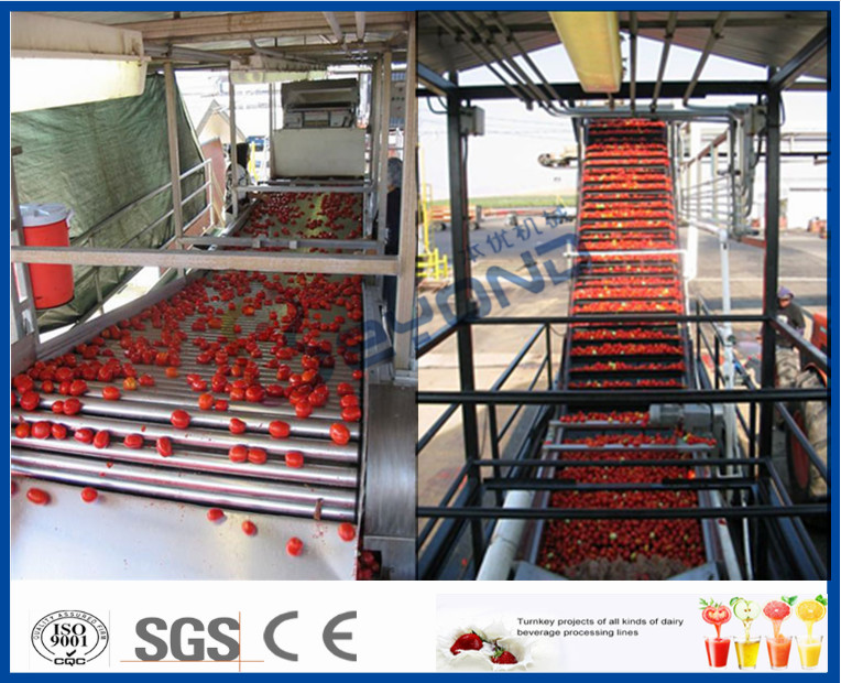 SUS304 Automatic Tomato Processing Line For Tomato Paste Making