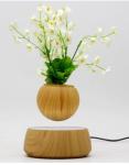 Magnetic Levitation Plant Pots, Potted Plants, AIR BONSAI pot tree