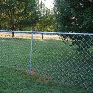 Quality Hot Dipped Galvanized Chain Link Fence PVC Coated 50ft Length wholesale