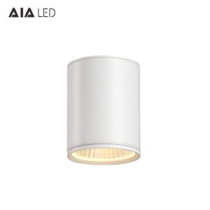 Quality Exteriror dimmable 30w led downlight&amp;outdoor led downlight&amp;ip65 surface mount led downlight for hotel wholesale