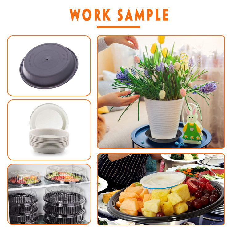 Disposable Food Tray Lid Pressure Thermoforming Machine 600mm Width