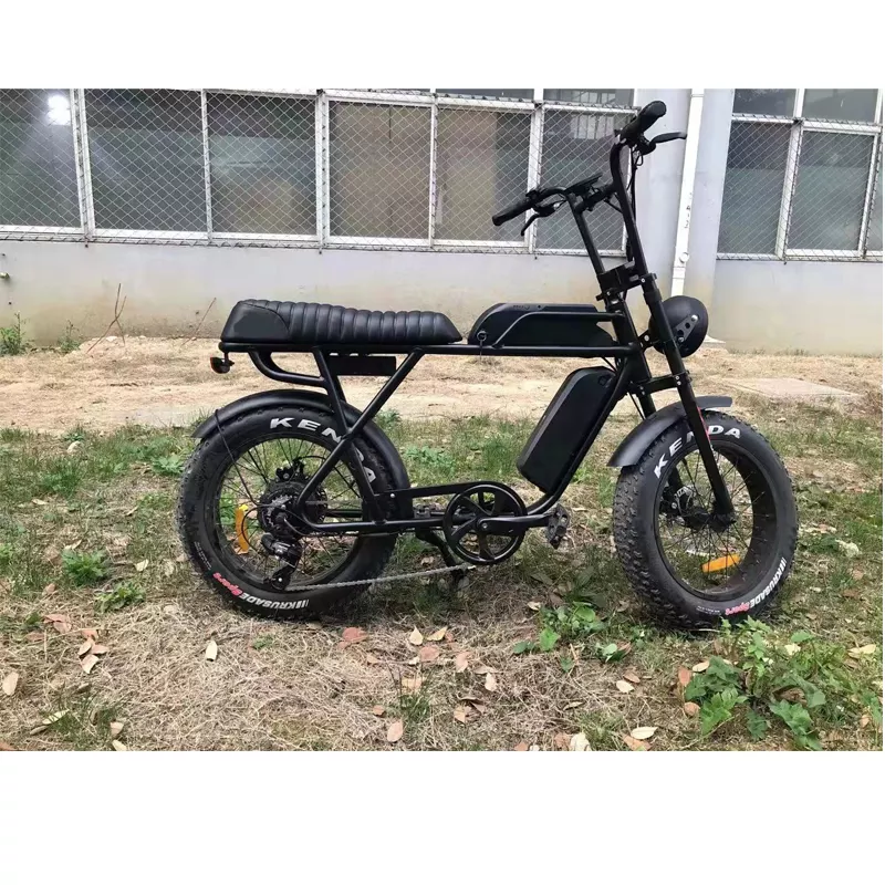 48v 500w E Bike 2 Seat Fast Speed Electric Snow Beach Bicycle with Customized Design