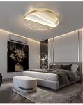 Modern Minimalist Ceiling Lamps Living Room Designer Hall Nordic Luxury Starry