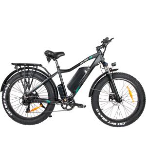 Quality 7Speed Fat Tire Electric Mountain Bike 26in 20 Miles Endurance wholesale